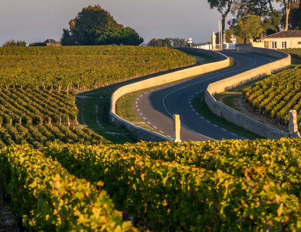 imagem representativa